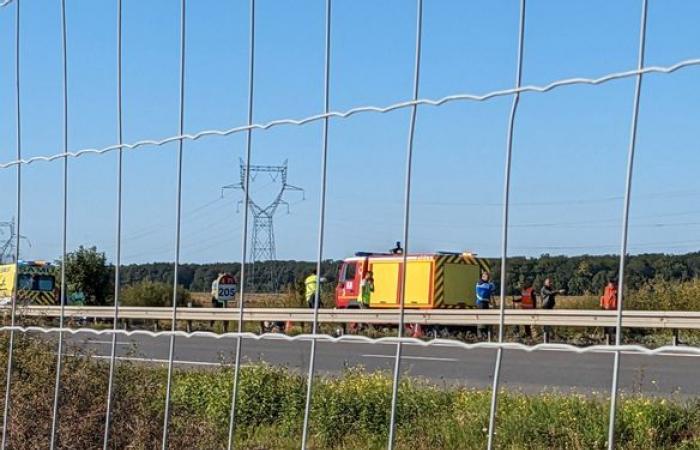 Collision entre une moto et un poids lourd sur l’A71 à Bourges : un mort – .