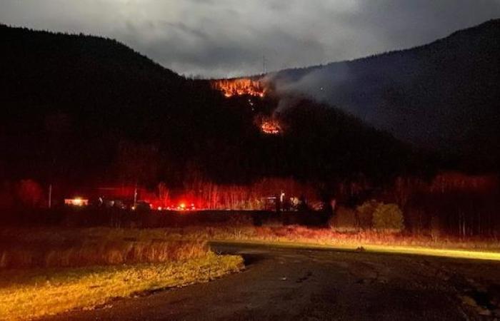Un feu de forêt s’est déclaré à Mont-Saint-Pierre – .