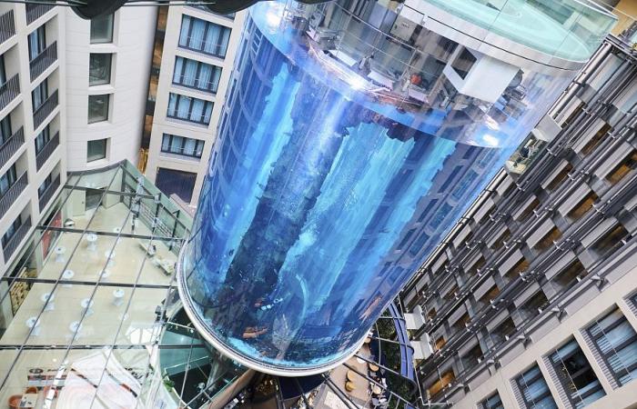 Le plus grand aquarium cylindrique du monde s’écrase dans un hôtel de Berlin – .