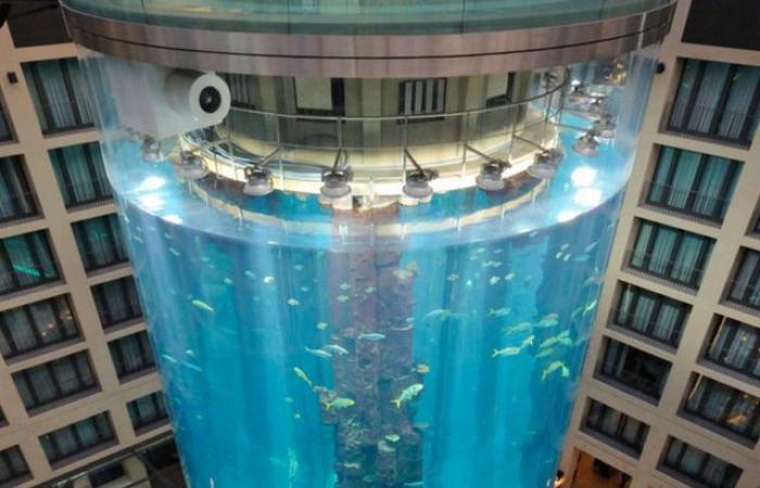 L’effondrement du géant Aqua Dome à Berlin entraîne la mort de la plupart des poissons qui s’y trouvaient – .