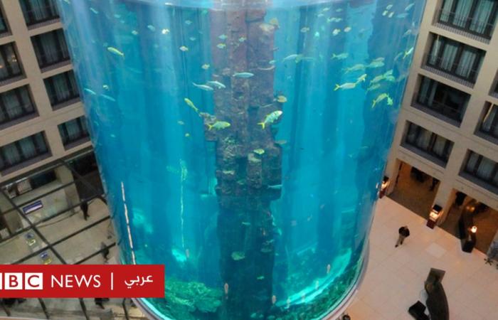 L’effondrement du géant Aqua Dome à Berlin entraîne la mort de la plupart des poissons qui s’y trouvaient – .
