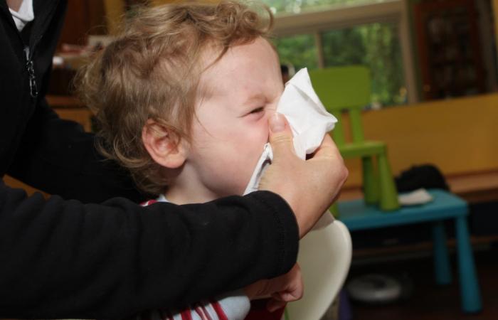 L’épidémie de grippe est-elle vraiment plus intense cette année ? – .