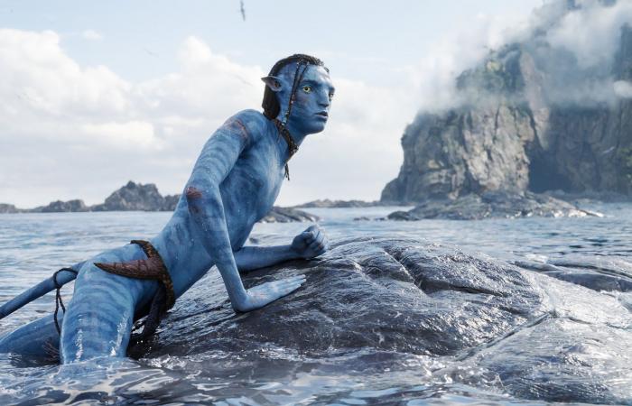 Après avoir sévèrement critiqué la campagne “Avatar 2”, il sort de son silence – .