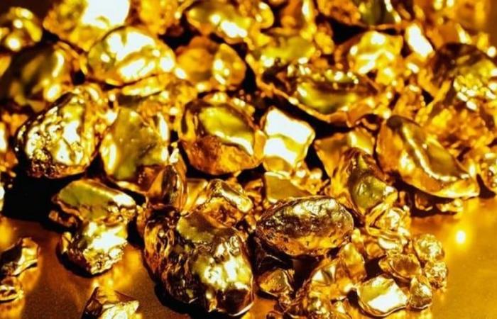 Primera Gold RDC accusée d’exporter de l’or de la RDC vers les Emirats Arabes Unis – VivAfrik – .