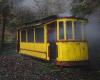 EN IMAGES, EN IMAGES. Un ancien tramway abandonné de Strasbourg découvert par un photographe dans la forêt – .
