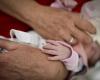 La Bulgarie sous le choc après un échange de bébé à la maternité – .