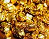 Primera Gold RDC accusée d’exporter de l’or de la RDC vers les Emirats Arabes Unis – VivAfrik – .